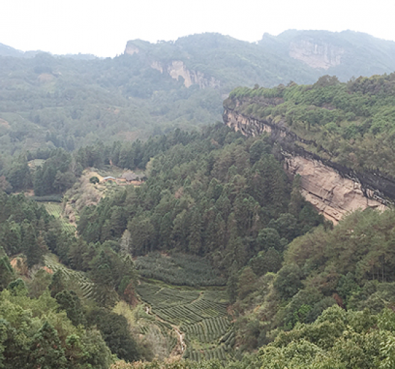 厦门禾堂餐饮企业管理有限公司